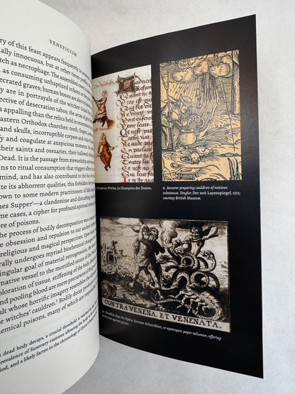 Veneficium: Magic, Witchcraft and the Poison Path