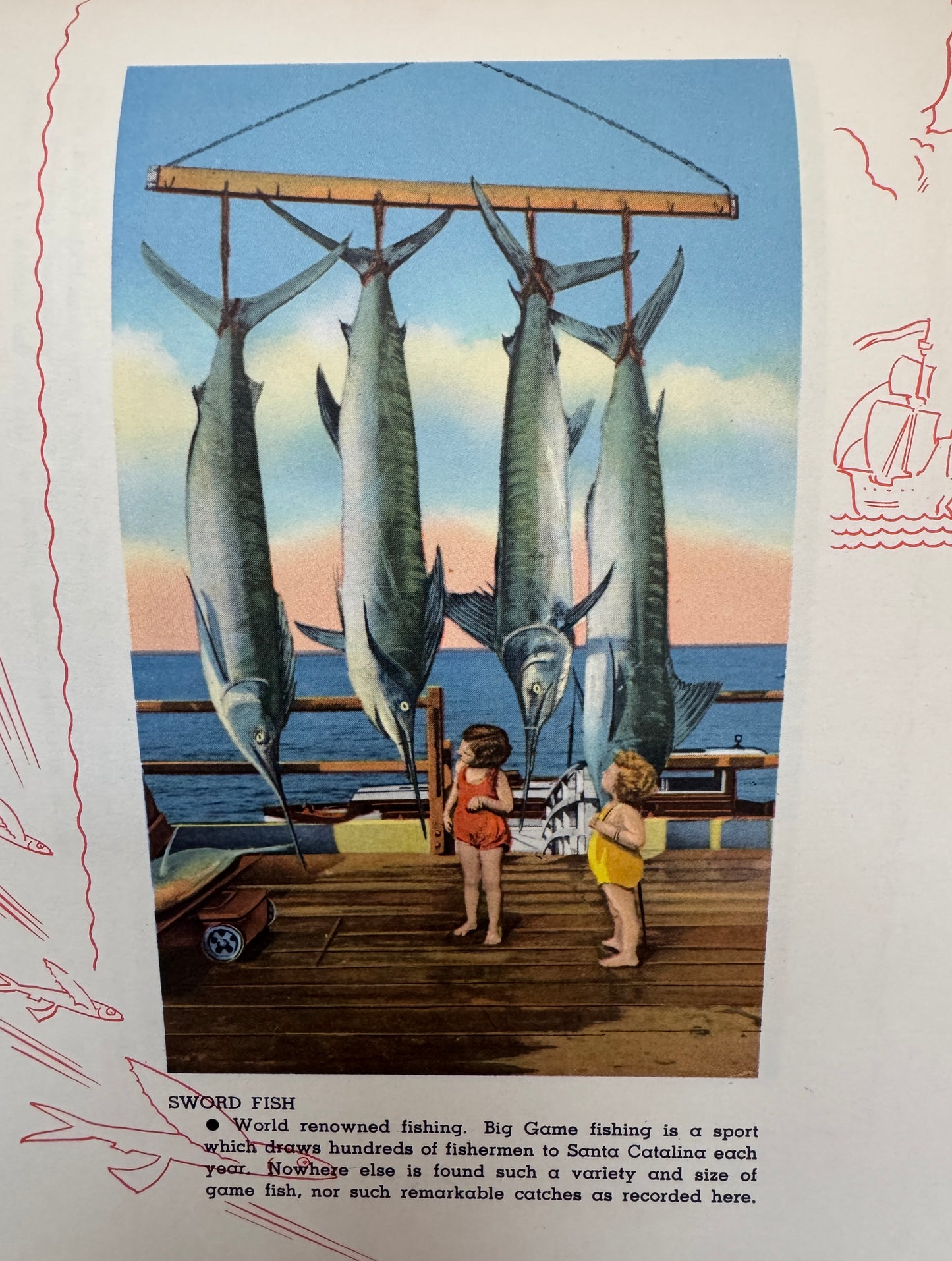 Santa Catalina Island, California