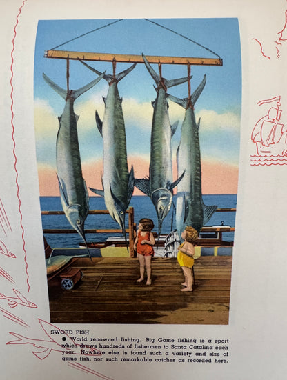 Santa Catalina Island, California