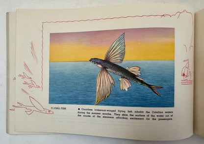 Santa Catalina Island, California