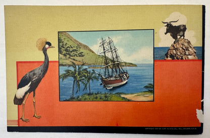 Santa Catalina Island, California