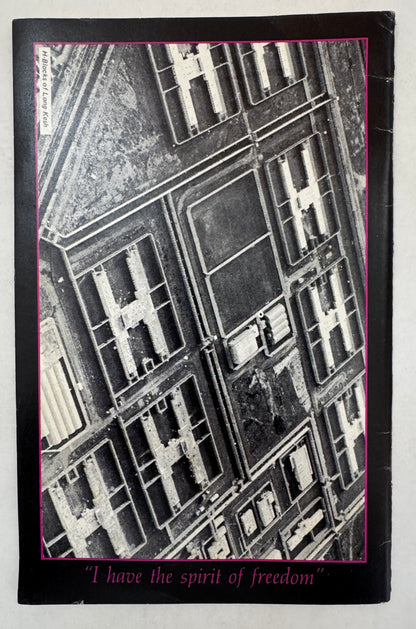 The Writings of Bobby Sands: A Collection of Prison Writings