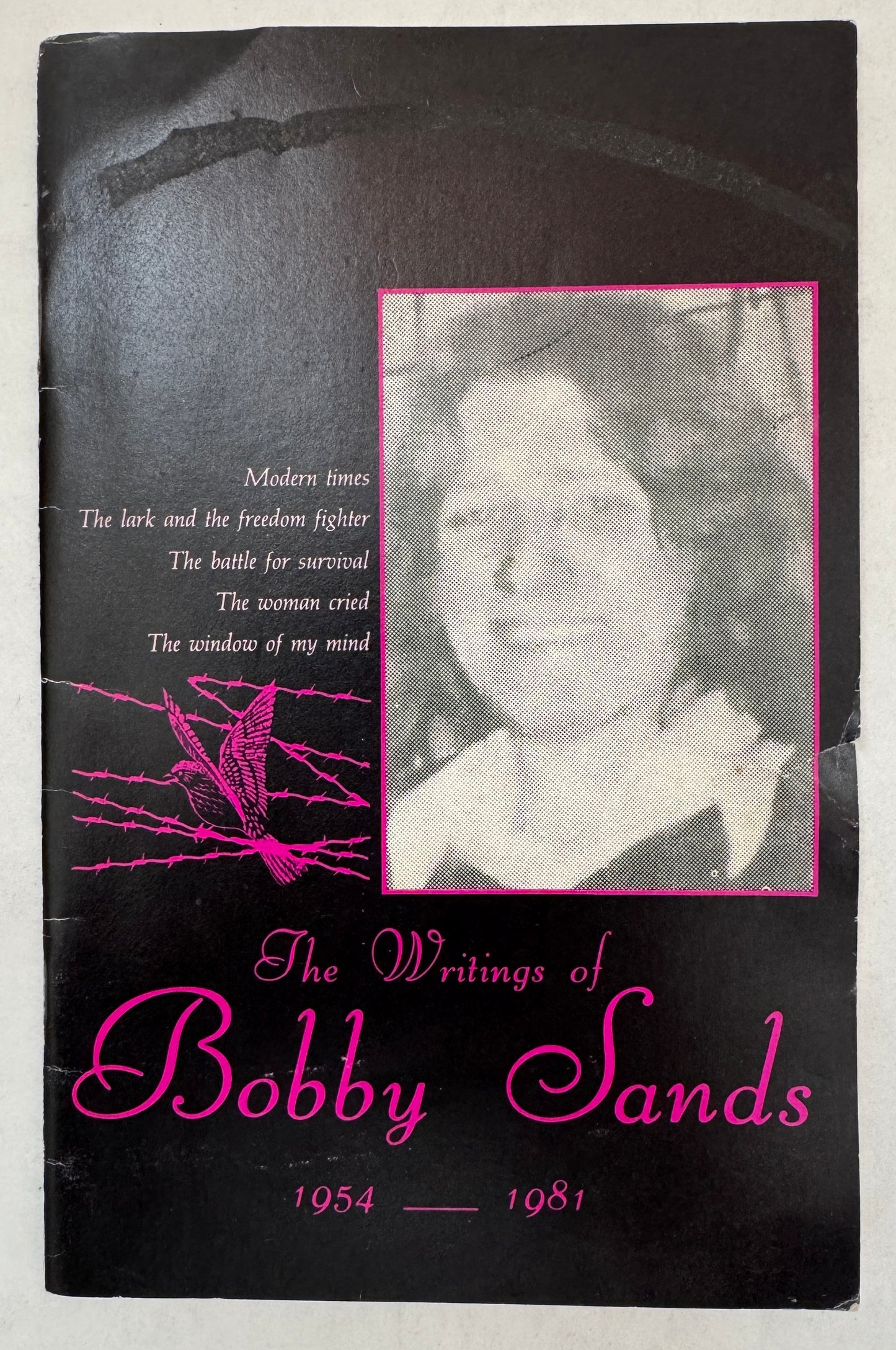 The Writings of Bobby Sands: A Collection of Prison Writings