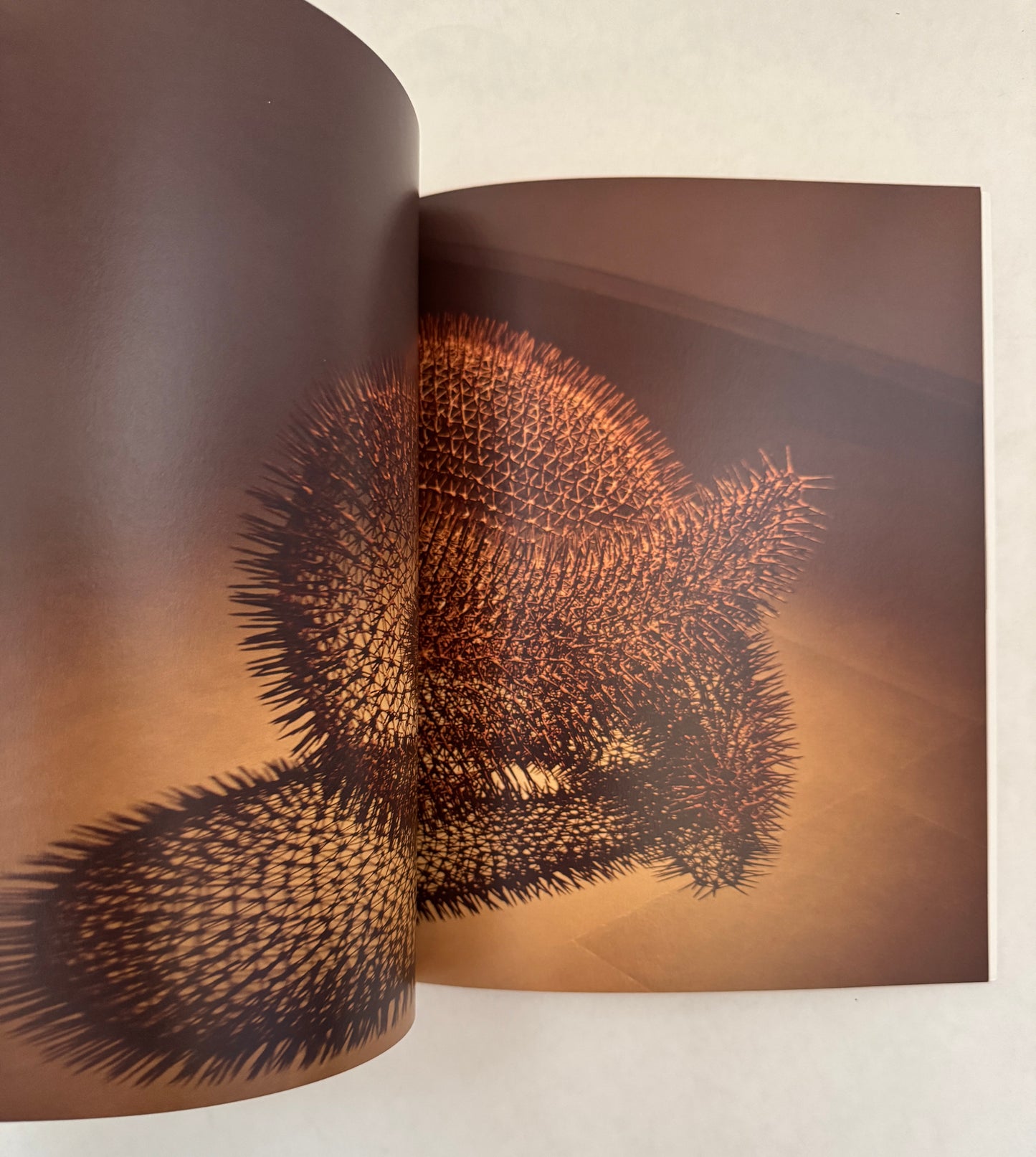 A. Balasubramaniam: (In) Between: the Art of Nothingness