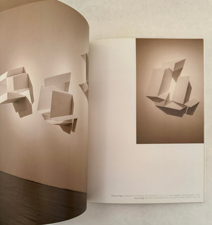 A. Balasubramaniam: (In) Between: the Art of Nothingness