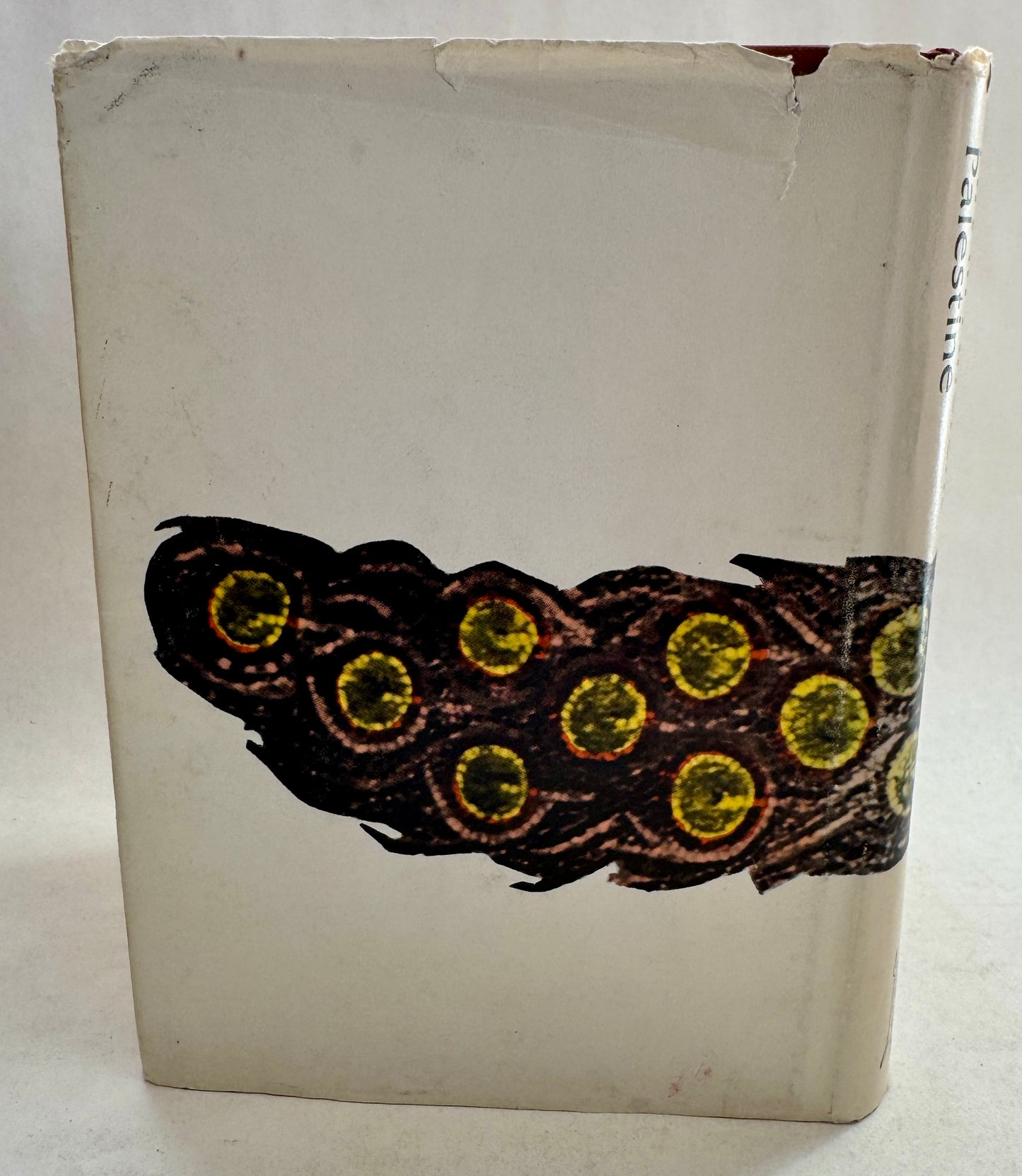 Art in Ancient Palestine: Selected Studies
