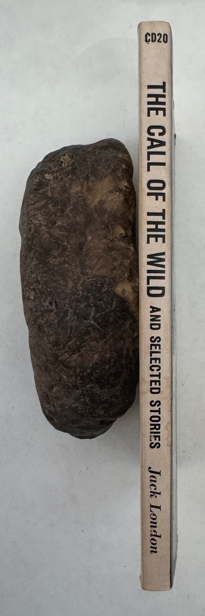 The Call of the Wild and Selected Stories