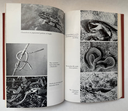 Zulu Journal: Field Notes of a Naturalist in South Africa