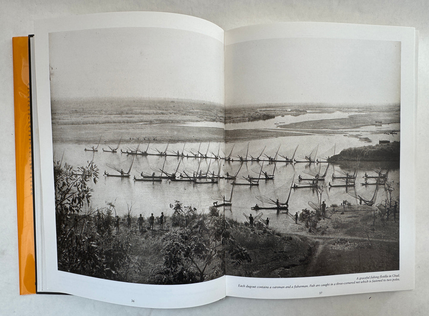 Africa 1900: A Continent Emerges; A History in Documentary Photographs