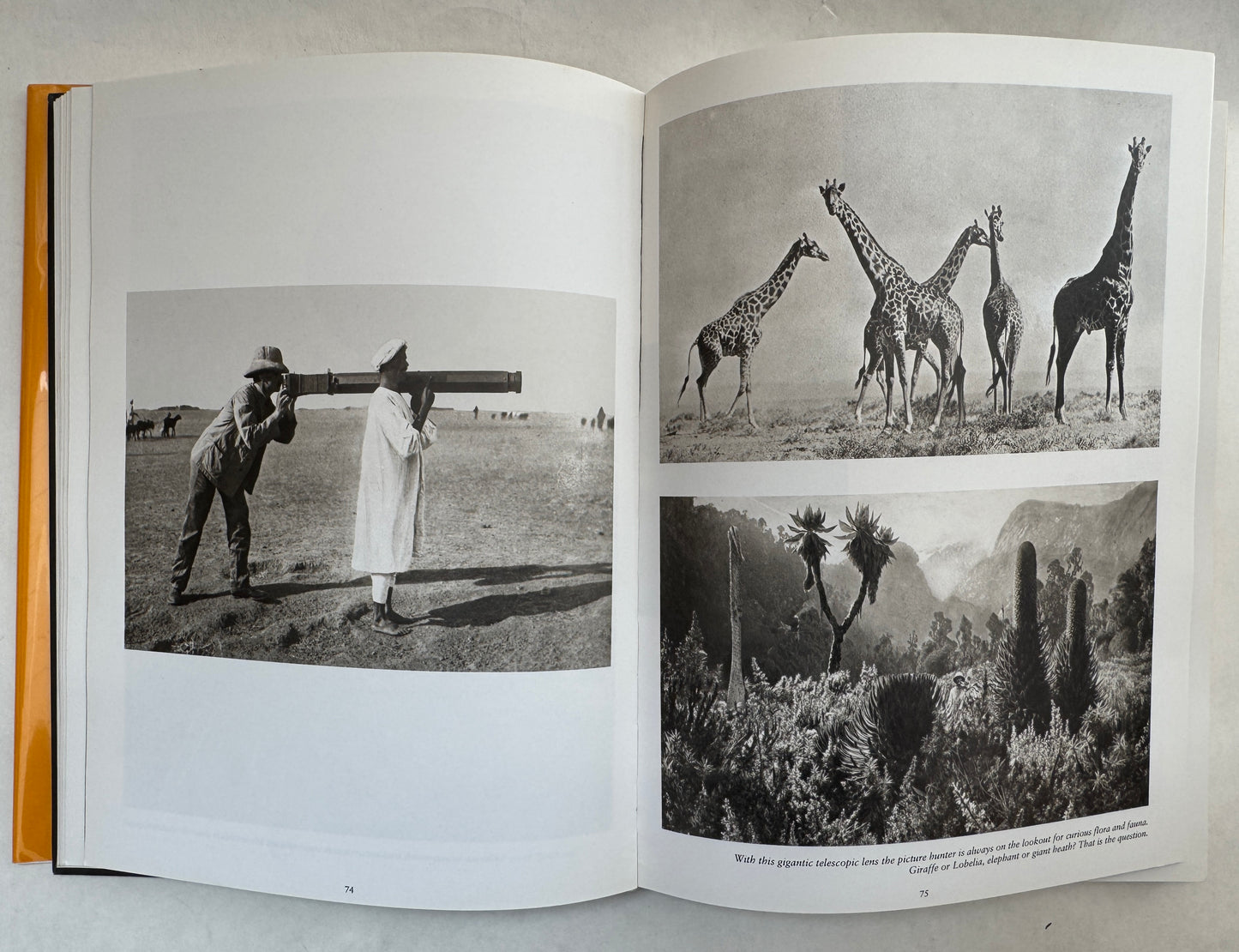 Africa 1900: A Continent Emerges; A History in Documentary Photographs