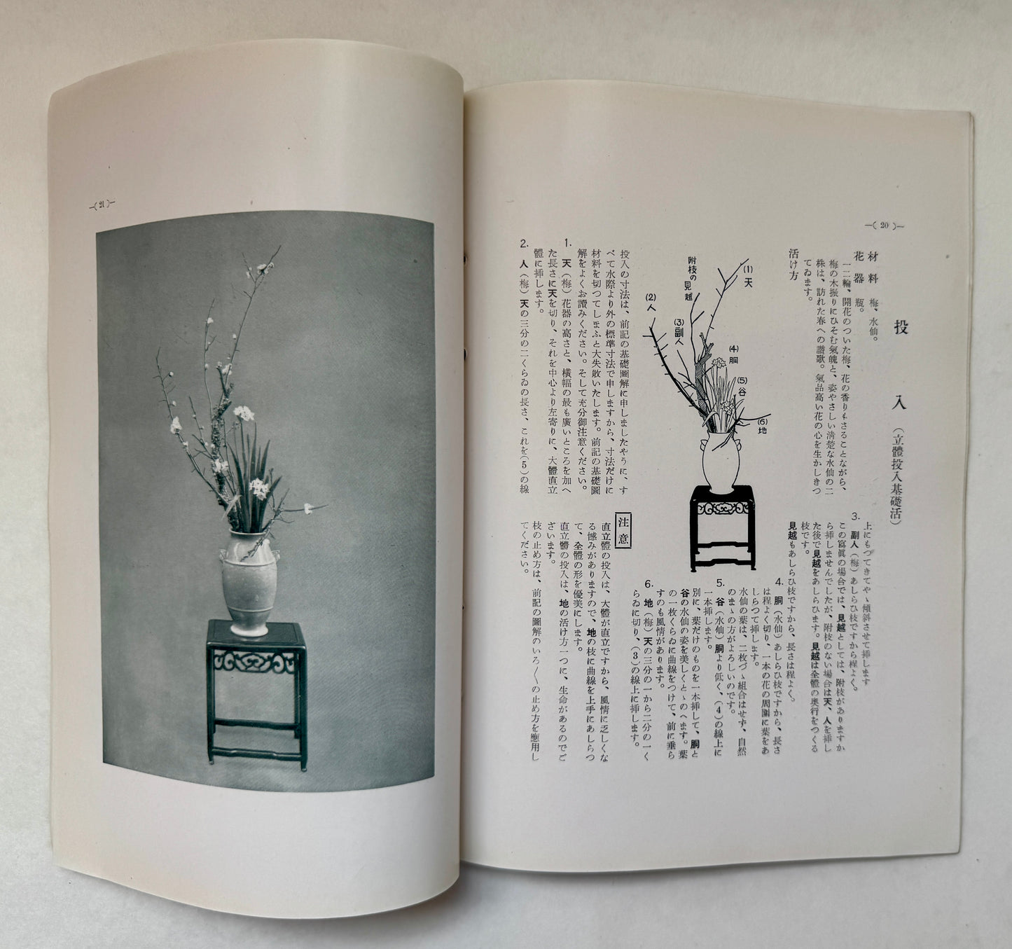 Introduction to Japanese Flower Arrangement (Ikebana)