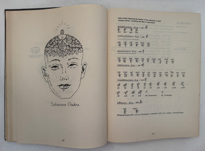 Unfolding The Petals: A New Sanskrit Grammar