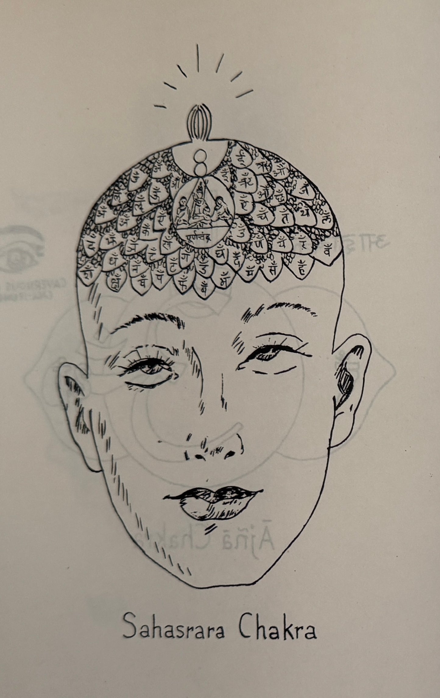 Unfolding The Petals: A New Sanskrit Grammar