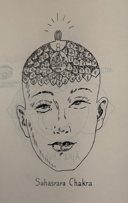 Unfolding The Petals: A New Sanskrit Grammar