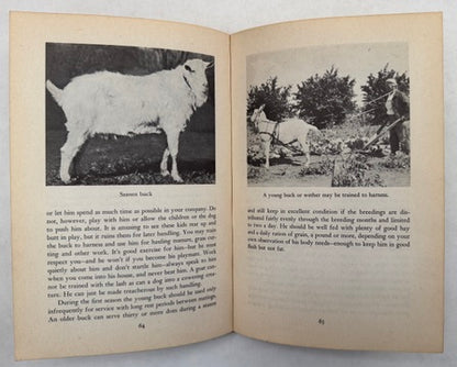 Starting Right With Milk Goats