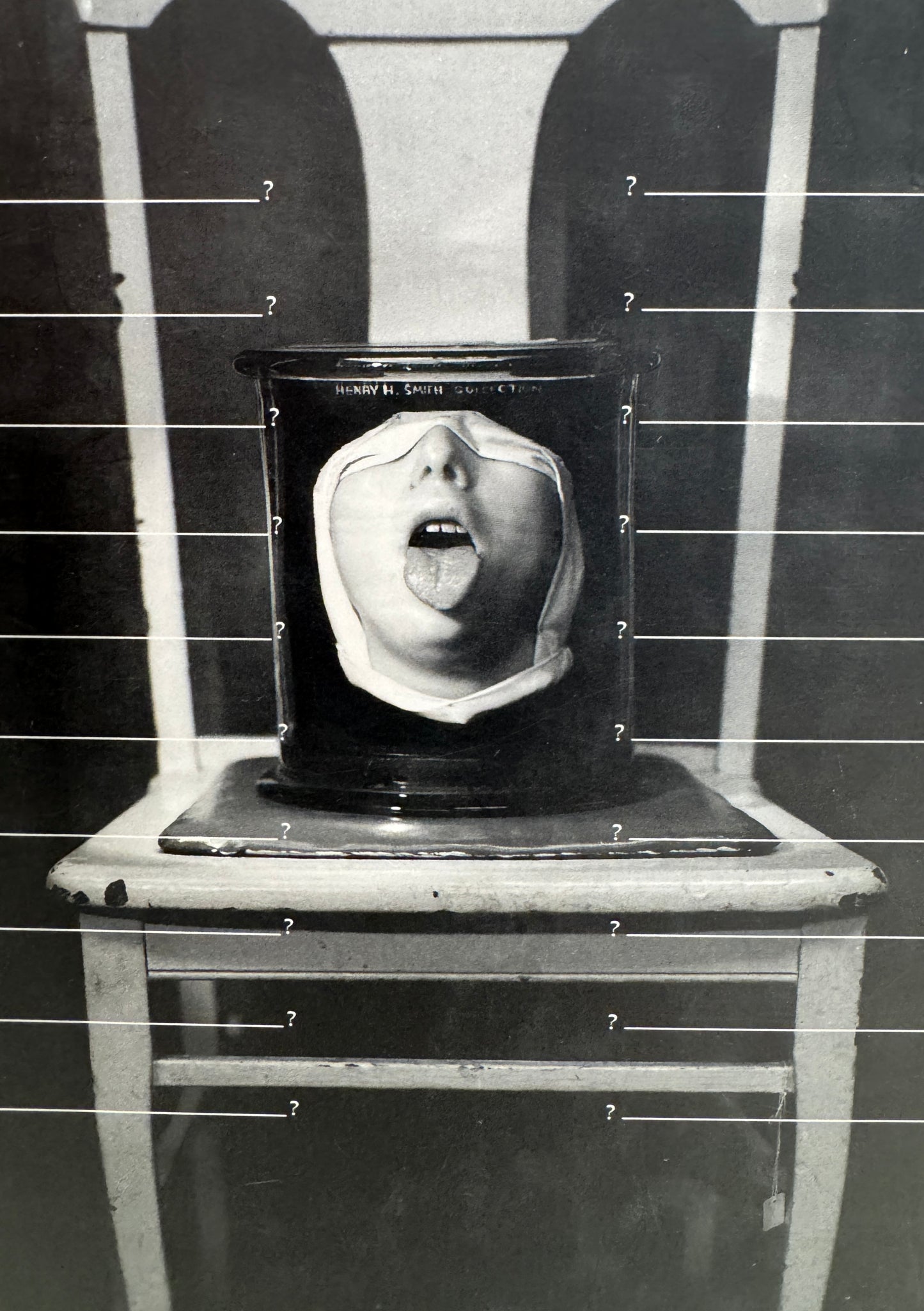 Twenty Questions: (Posed by Poems)