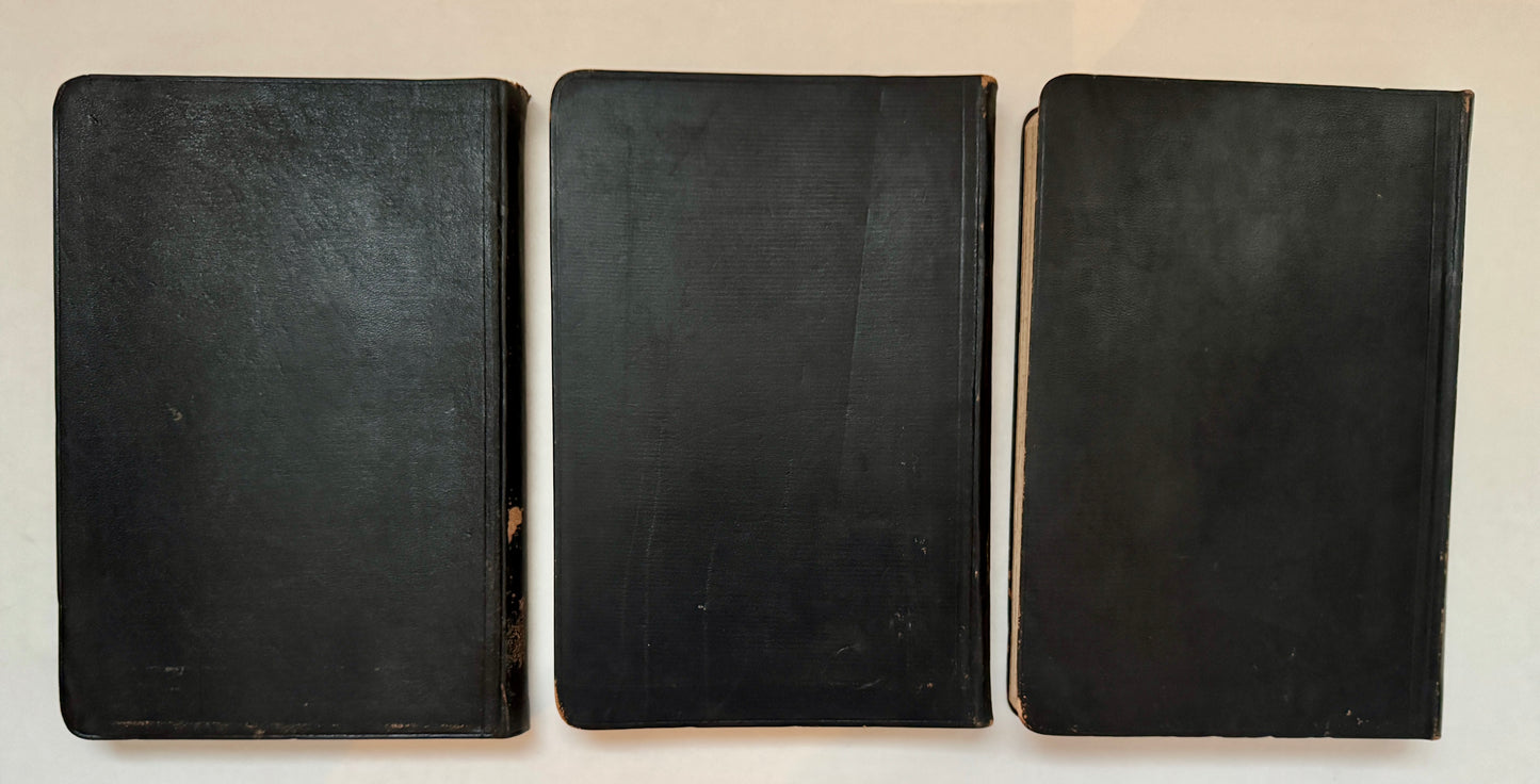 San Francisco Symphony Orchestra [program notes]