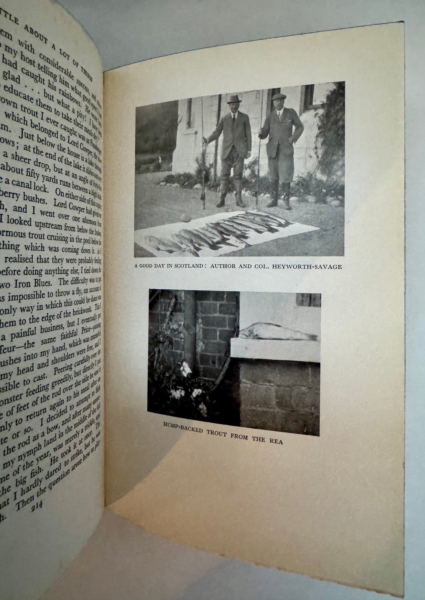 Edwardian Hey-Days:  A Little About a Lot of Things