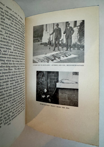 Edwardian Hey-Days:  A Little About a Lot of Things