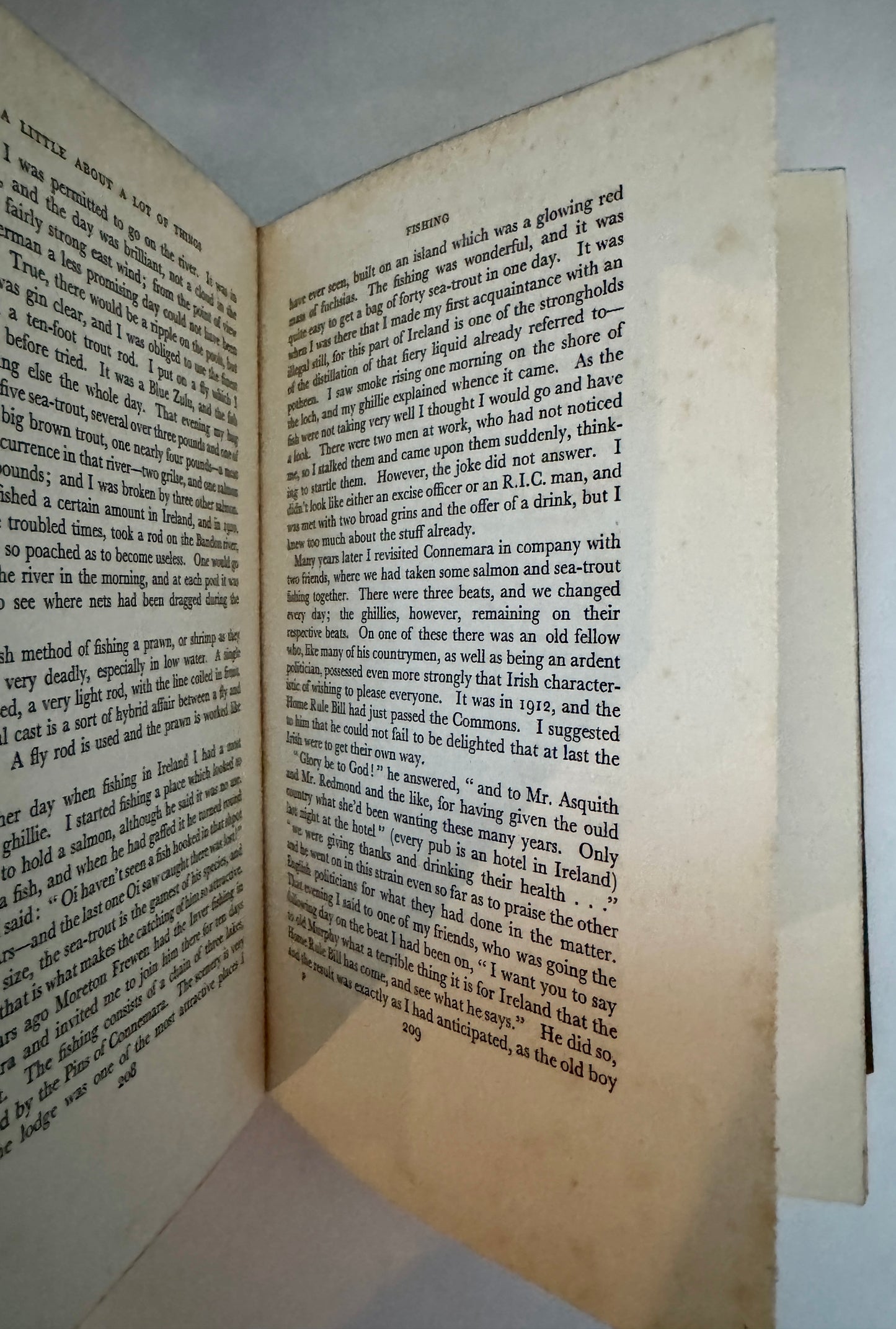 Edwardian Hey-Days:  A Little About a Lot of Things