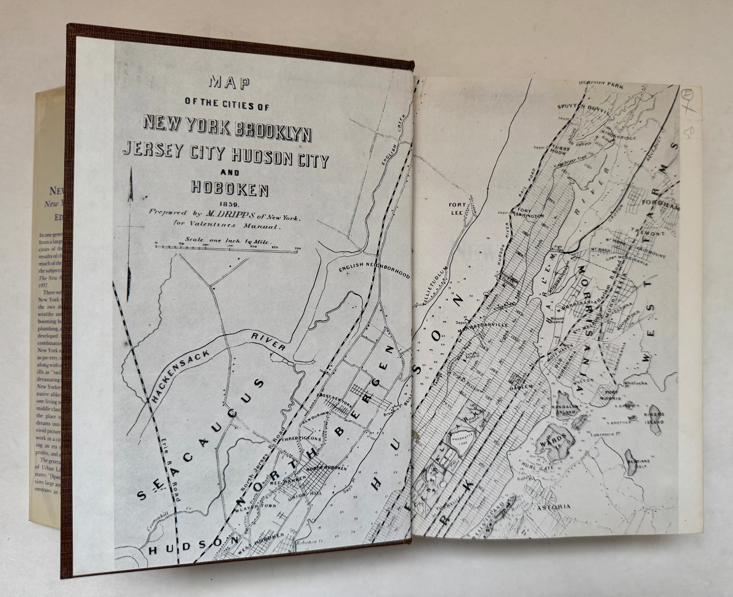 The New Metropolis: New York City, 1840-1857