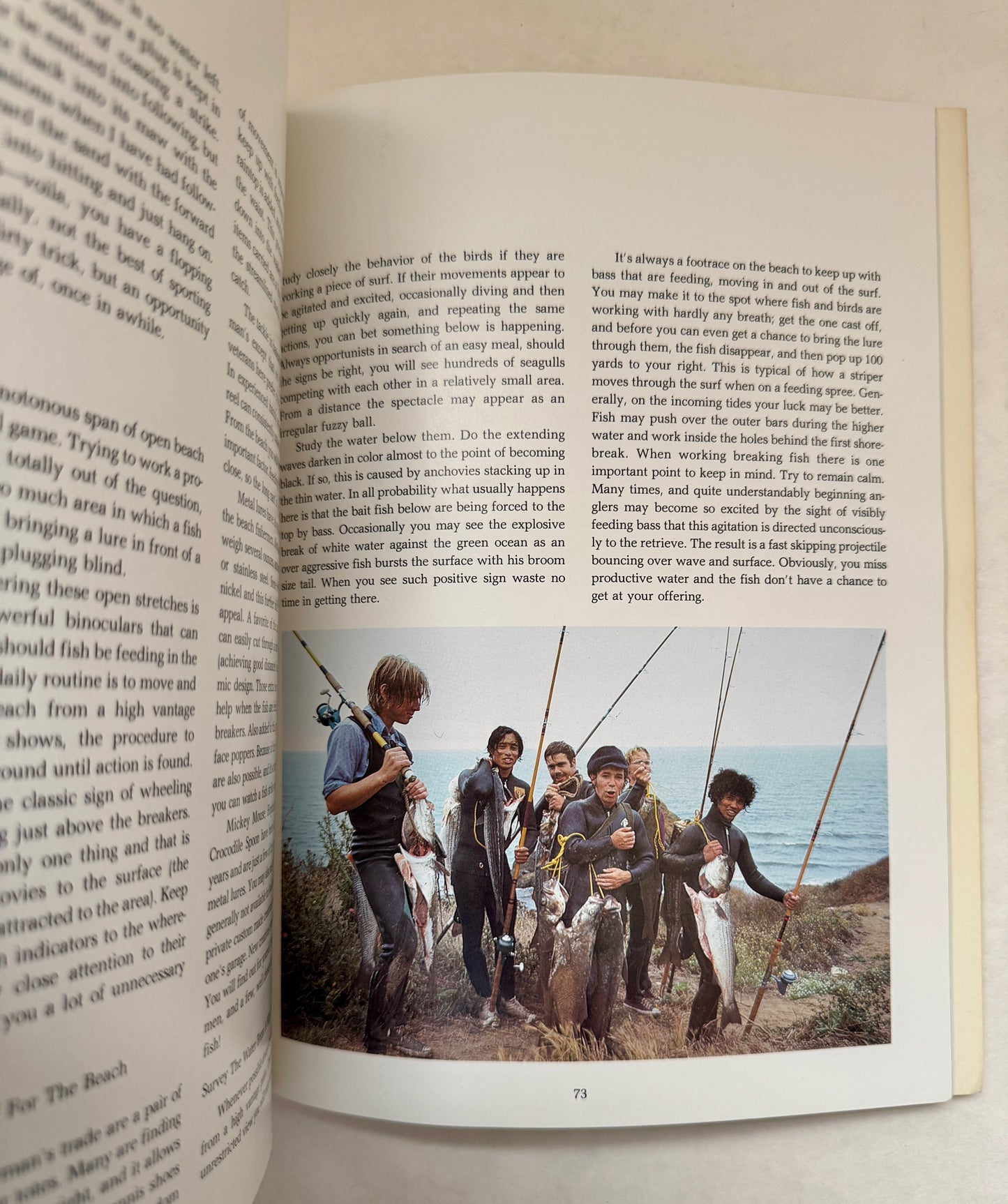 San Francisco Bay Striper