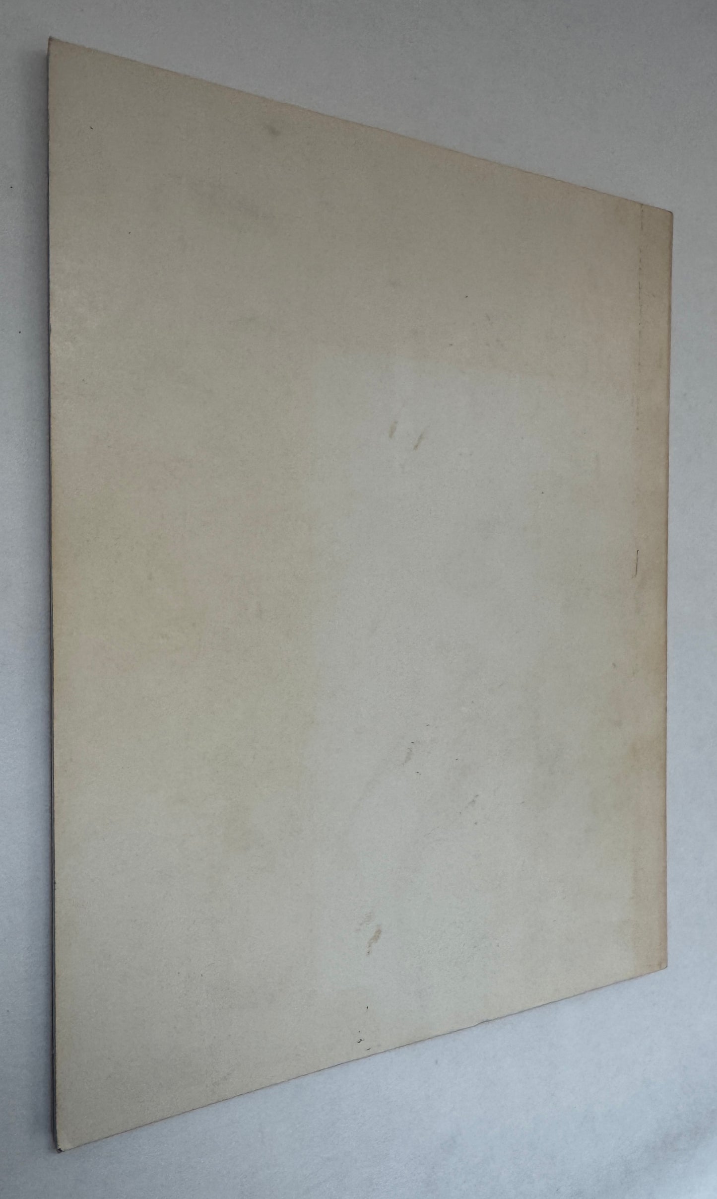 San Francisco Bay Striper