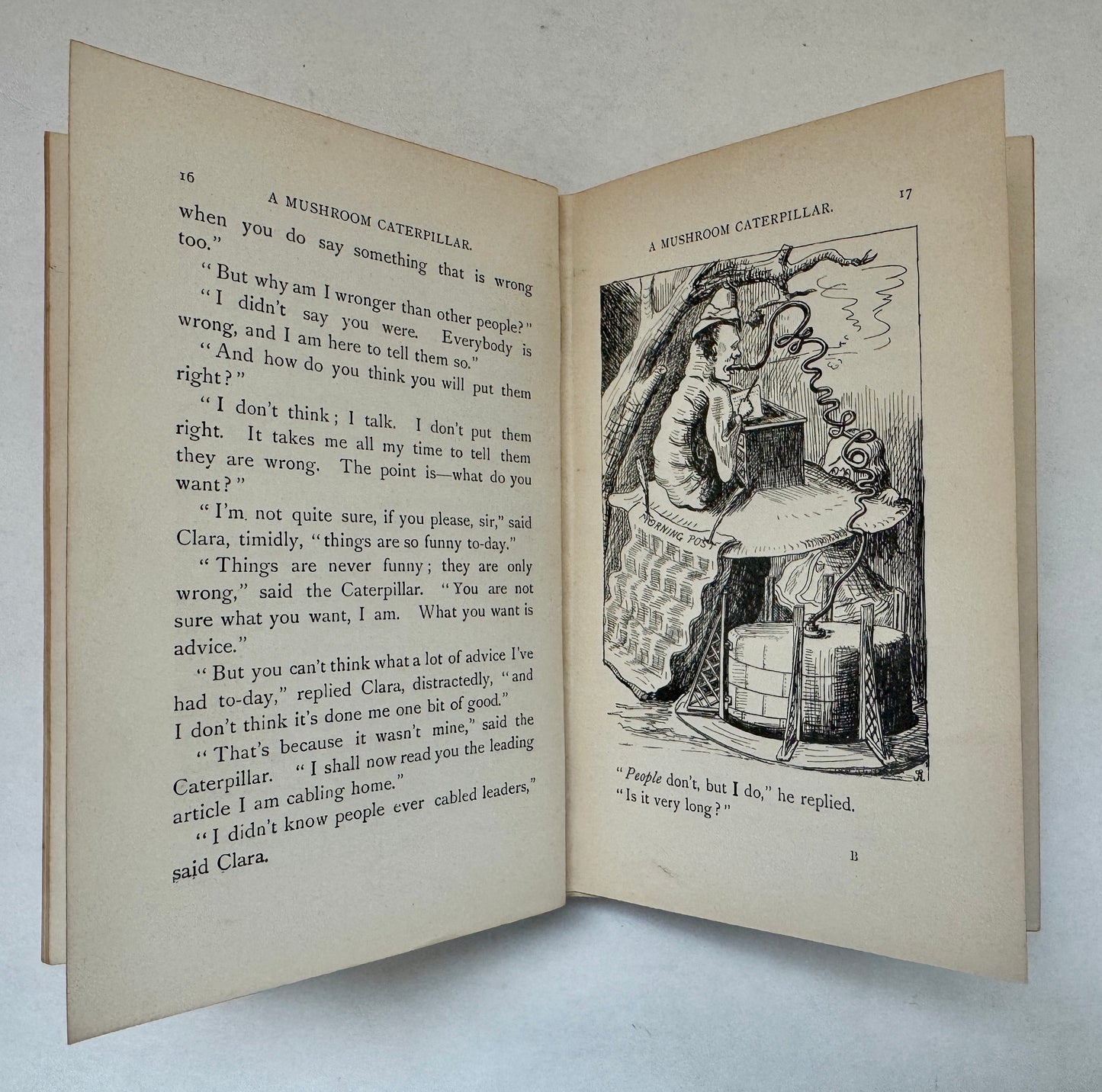 Clara in Blunderland