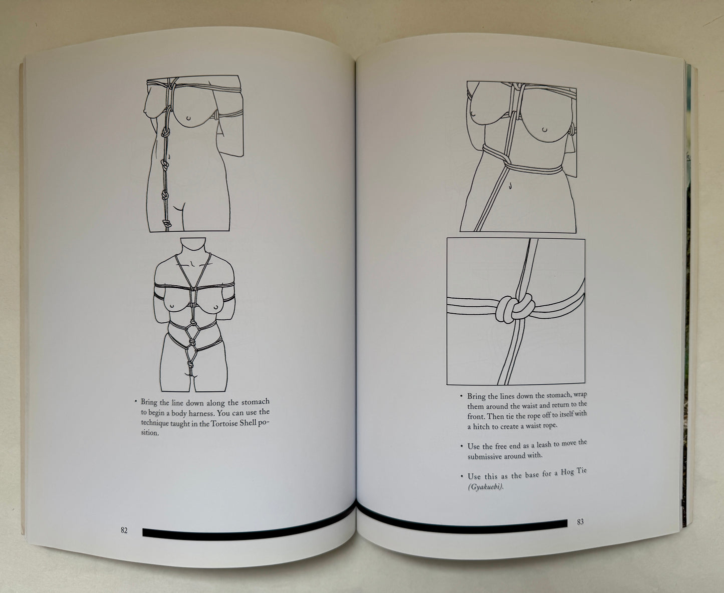 The Seductive Art of Japanese Bondage