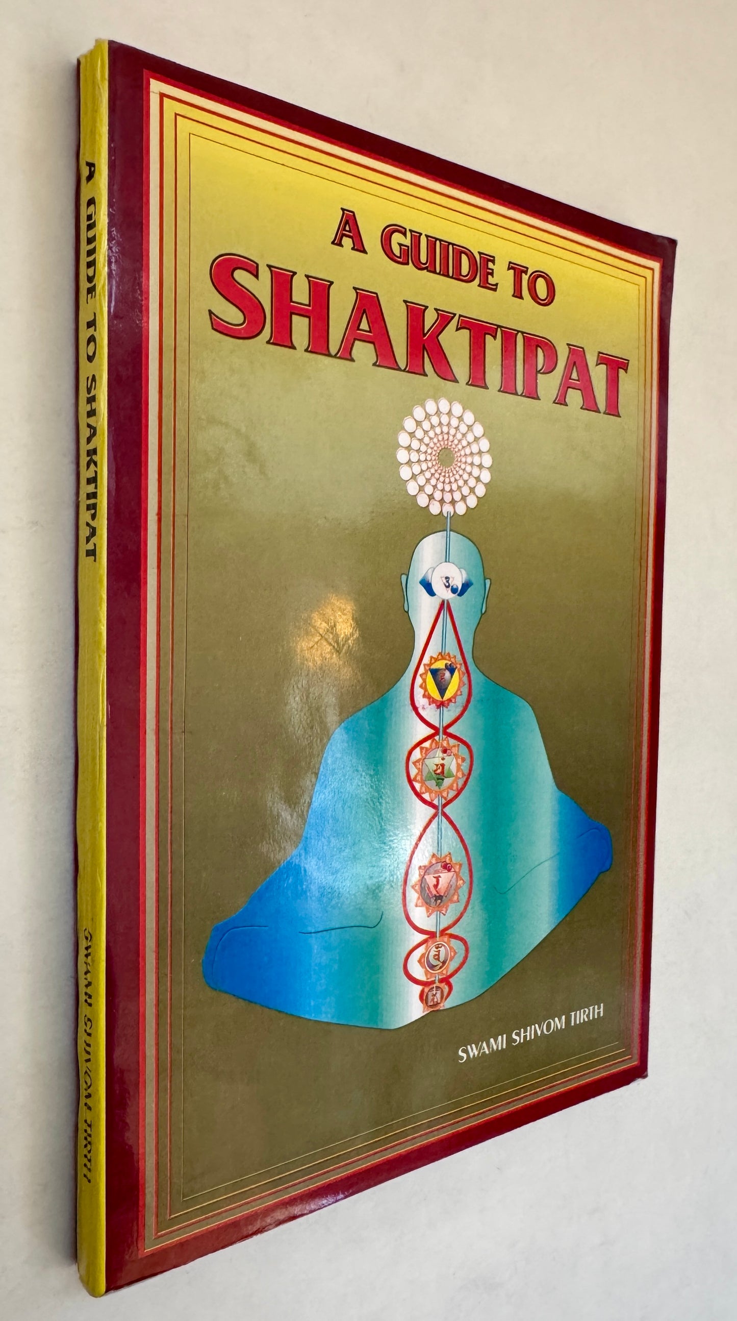 A Guide to Shaktipat