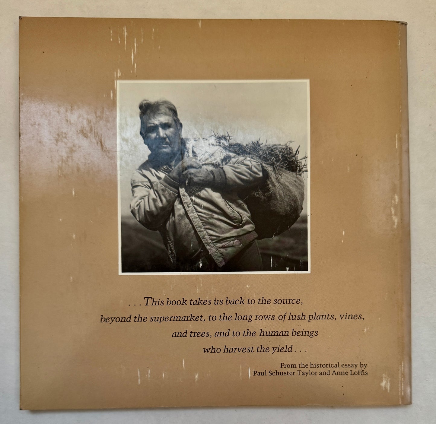 In the Fields: Photographs