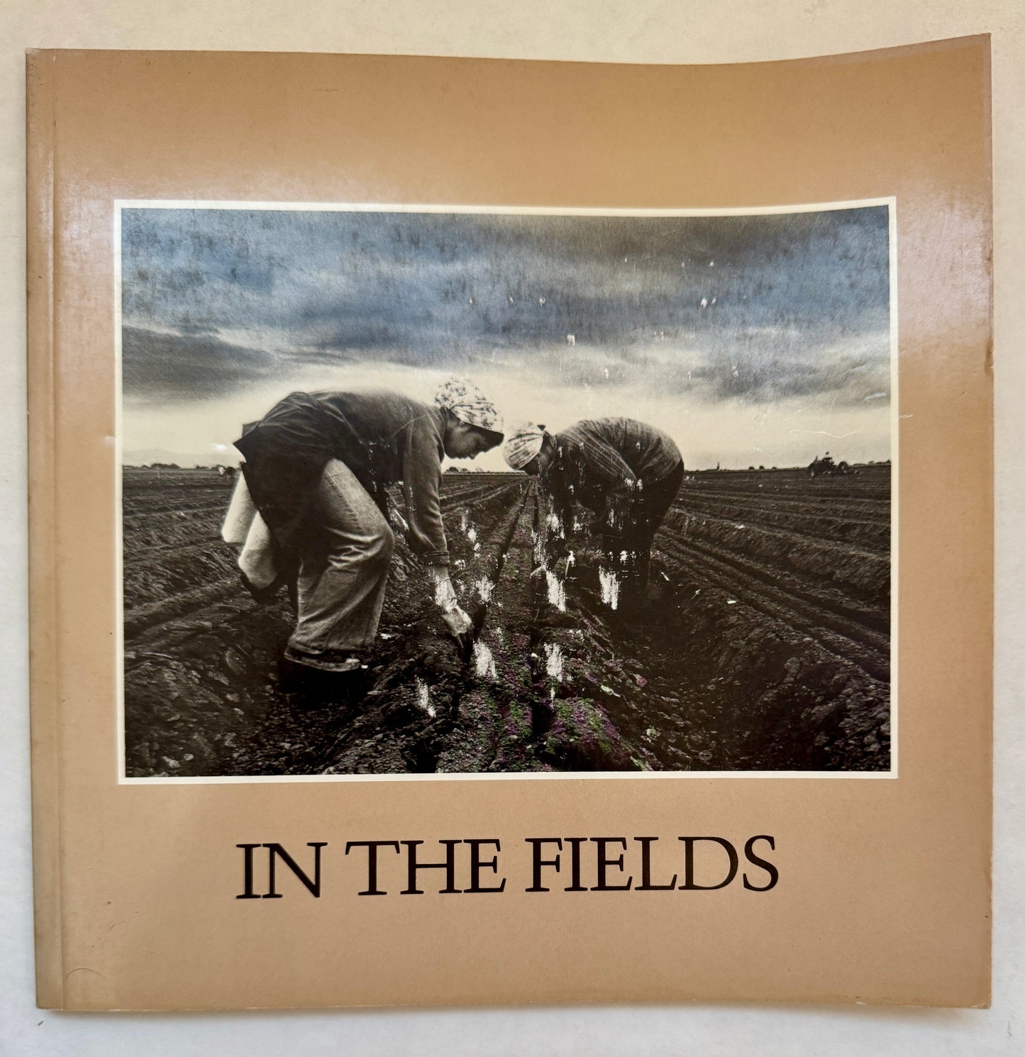 In the Fields: Photographs