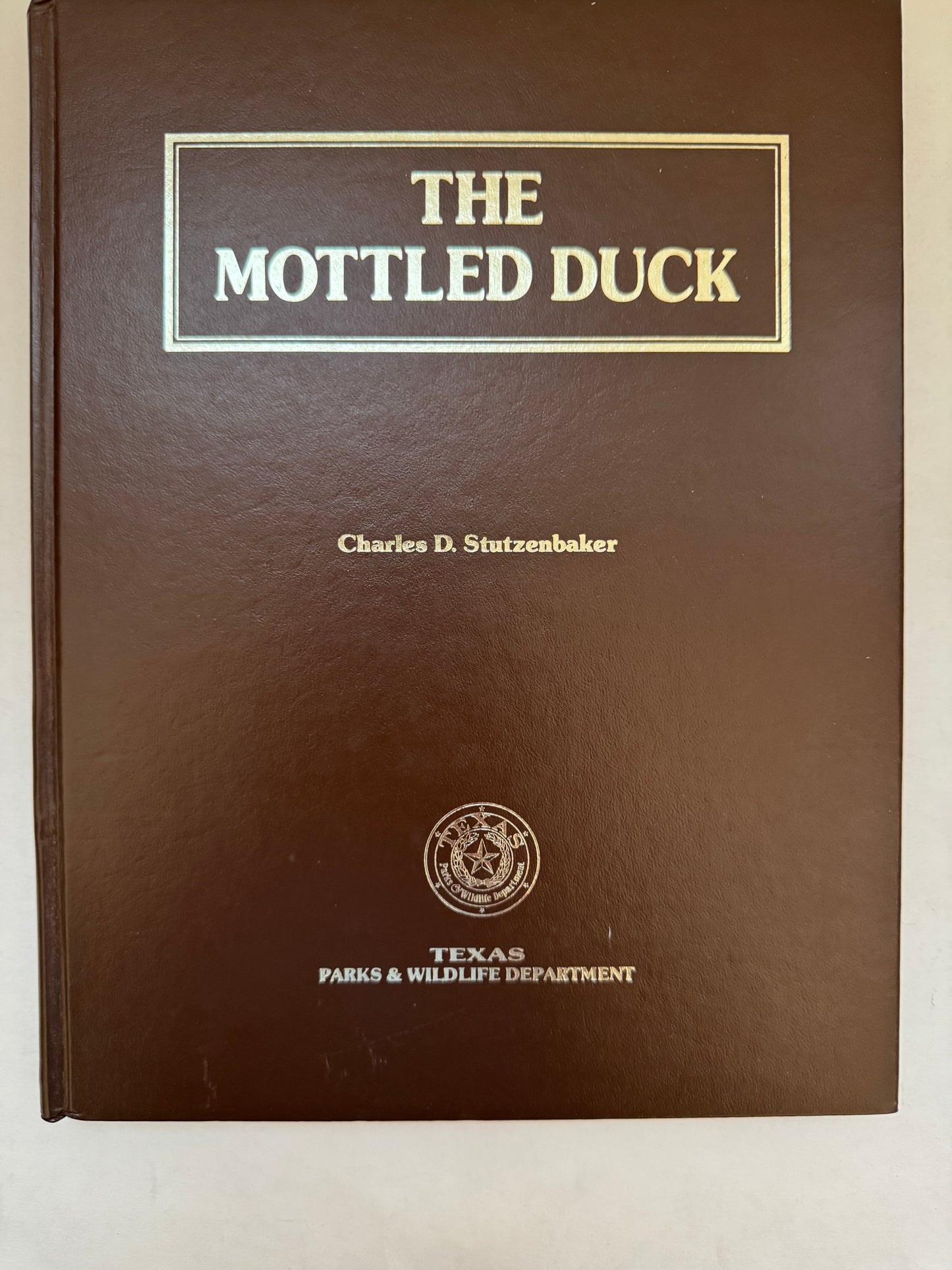 The Mottled Duck