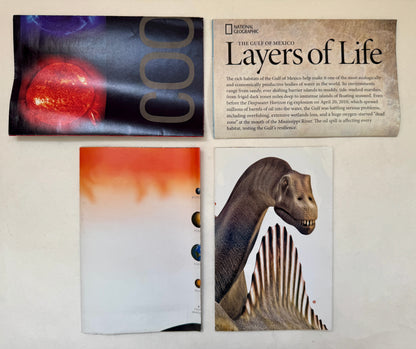[Set of 4 Maps]: New Views of Our Sun; the Solar System 12/2006: 8 Planets the New Cosmic Order; the Gulf of Mexico: Layers of Life; Planet of the Dinosaurs