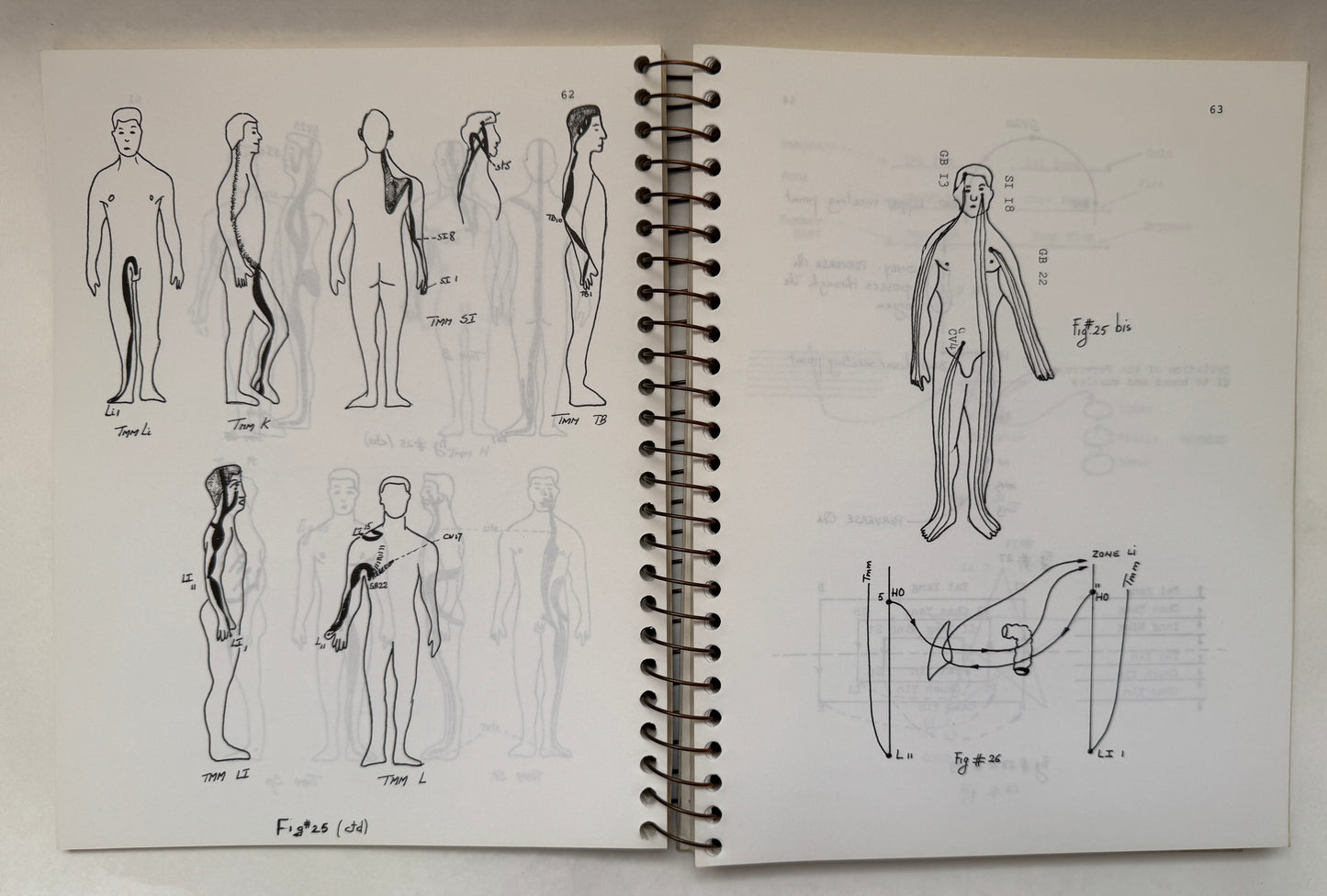 Acupuncture for the Practitioner