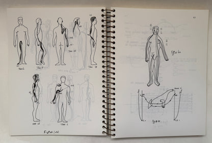 Acupuncture for the Practitioner