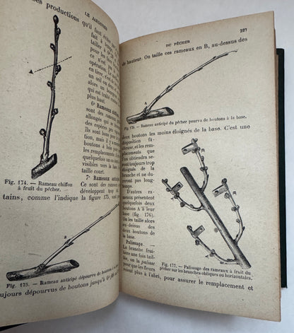 Le Nouveau Jardinier de Tout Le Monde: Traité Complet de Toutes Les Branches de L'horticulture ; Ancienne Édition Ysabeau, Revue et Complété