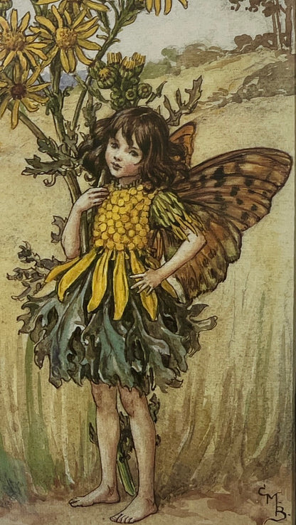 Flower Fairies of the Countryside
