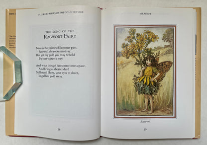 Flower Fairies of the Countryside