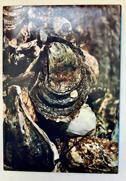 Oysters: A Culinary Celebration