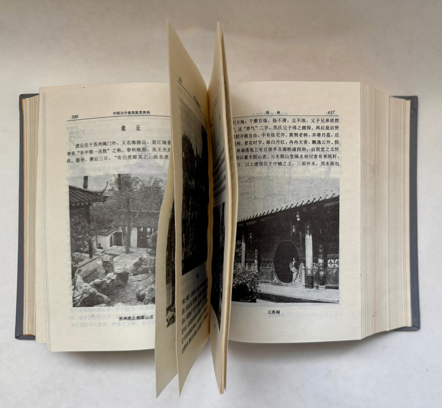 中国古今建筑鉴赏辞典 / Zhongguo Gu Jin Jian Zhu Jian Shang Ci Dian = ['Dictionary of Ancient and Modern Chinese Architecture']