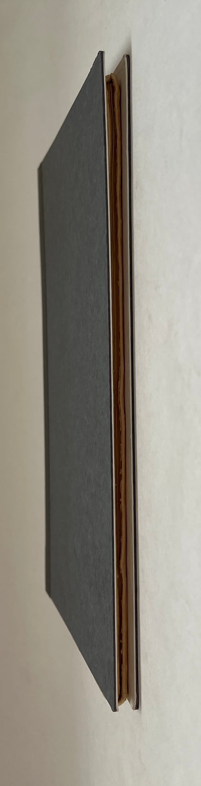 Fazendas de Cacau na Bahia