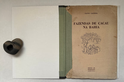 Fazendas de Cacau na Bahia