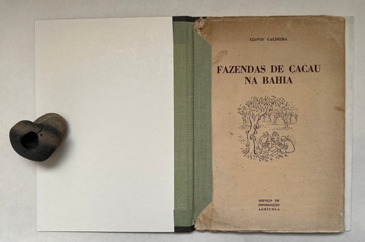 Fazendas de Cacau na Bahia