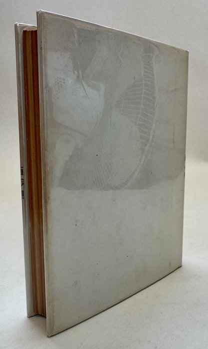 Religion and the Rebel