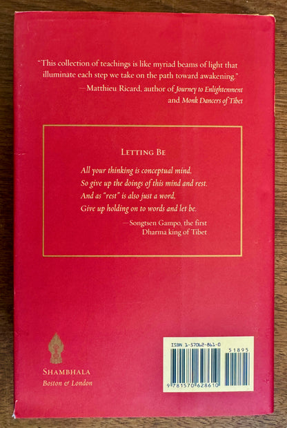 A Tibetan Buddhist Companion