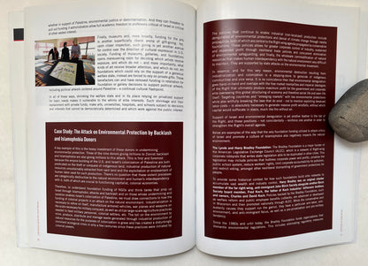 Business of Backlash