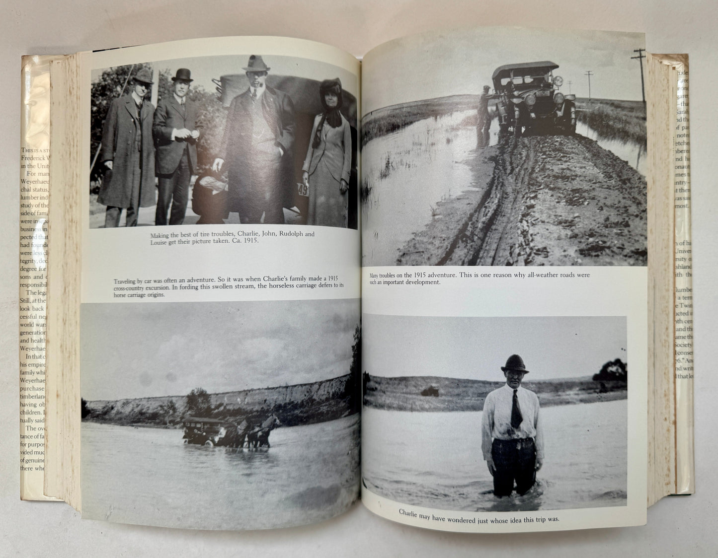 A Bundle of Sticks : The Story of a Family