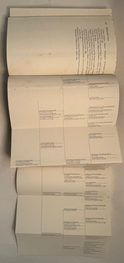 A Bundle of Sticks : The Story of a Family