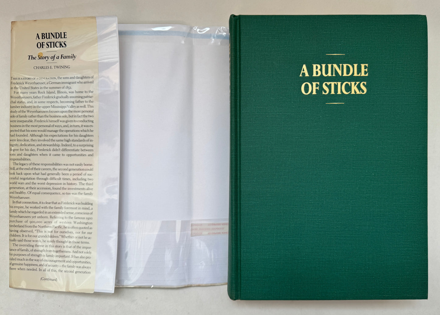 A Bundle of Sticks : The Story of a Family